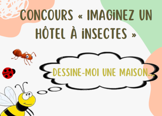 image hotel insectes.png